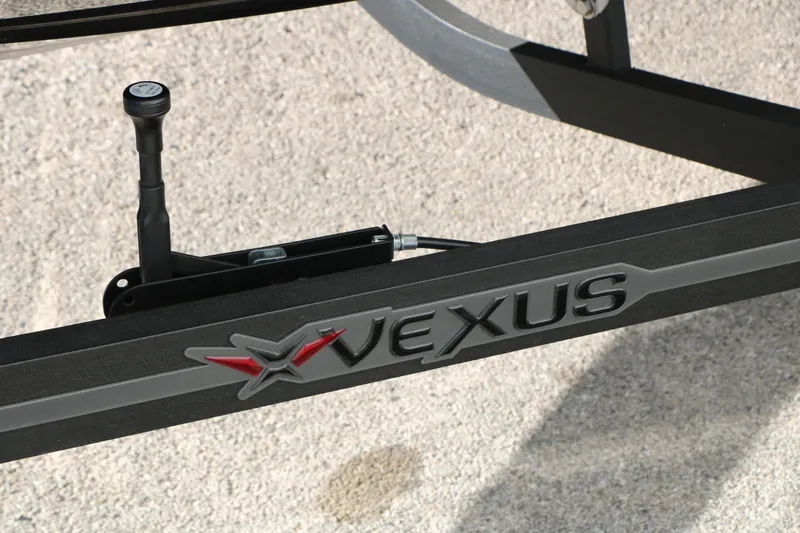 Slide: The Image of Vexus DVX 20s 2025 - 6