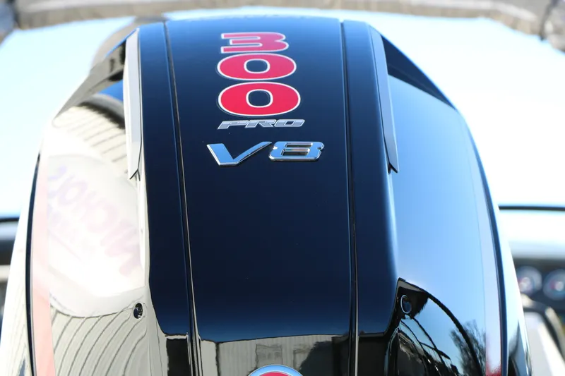 Slide: The Image of Vexus DVX 20s 2025 - 9