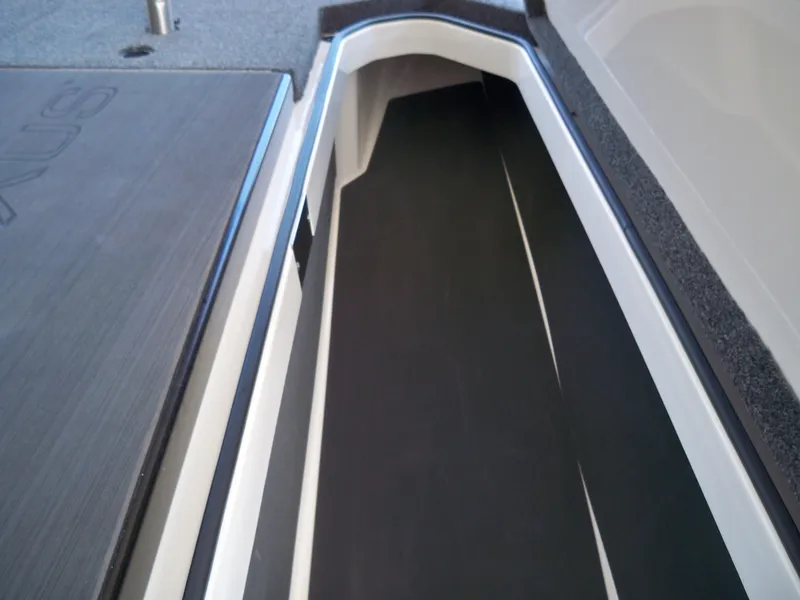 Slide: The Image of Vexus VXS20 2024 - 19