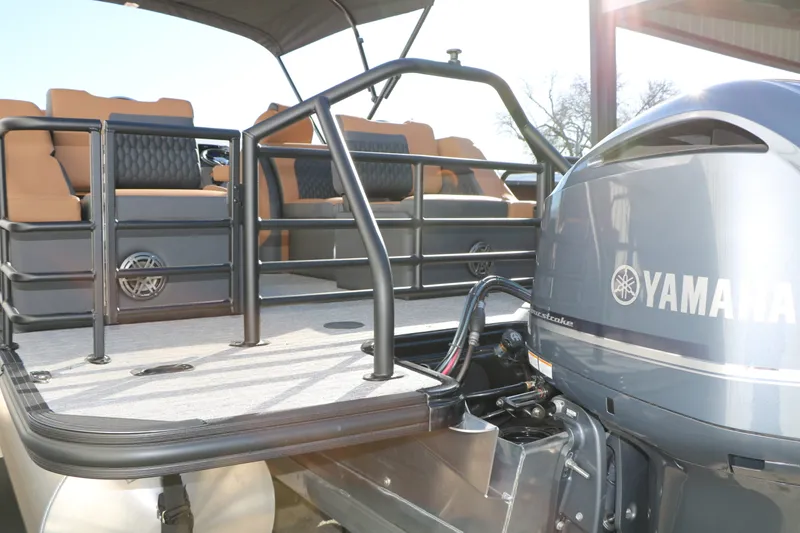 Slide: The Image of Sylvan L3 LZ DH Platinum Edition Tri-Toon 2026 - 10