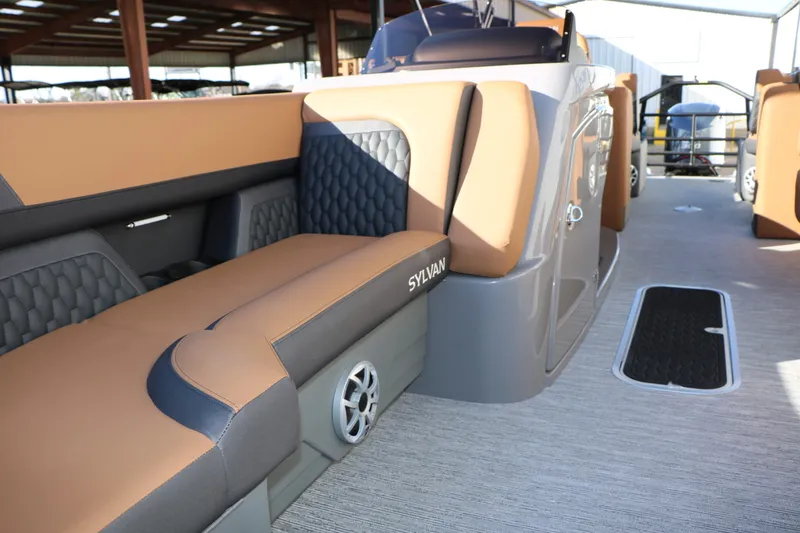 Slide: The Image of Sylvan L3 LZ DH Platinum Edition Tri-Toon 2026 - 19