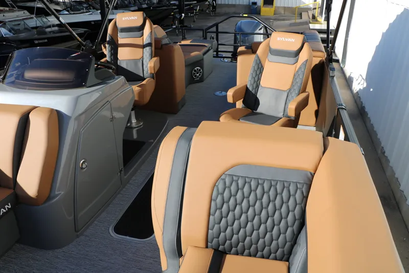 Slide: The Image of Sylvan L3 LZ DH Platinum Edition Tri-Toon 2026 - 20