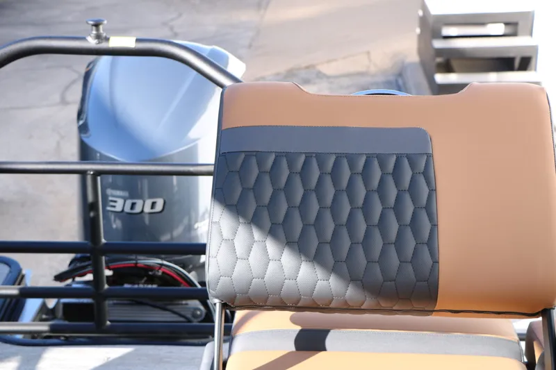 Slide: The Image of Sylvan L3 LZ DH Platinum Edition Tri-Toon 2026 - 31