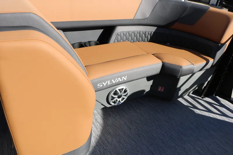 Slide: The Image of Sylvan L3 LZ DH Platinum Edition Tri-Toon 2026 - 36