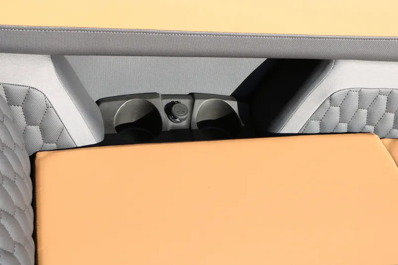 Slide: The Image of Sylvan L3 LZ DH Platinum Edition Tri-Toon 2026 - 37