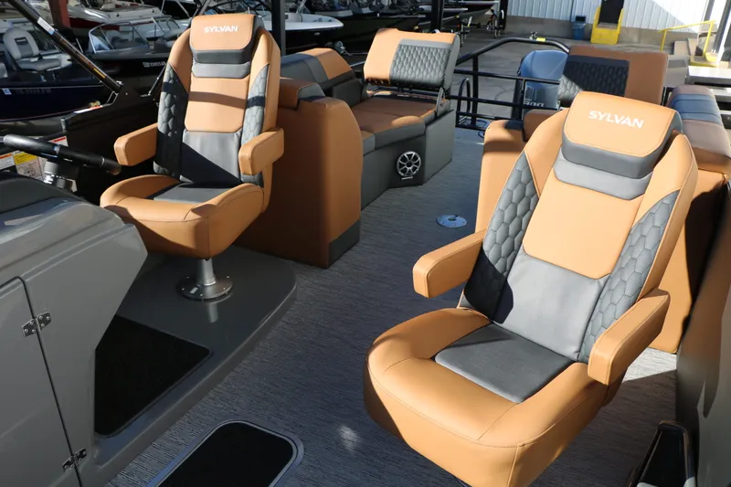 Slide: The Image of Sylvan L3 LZ DH Platinum Edition Tri-Toon 2026 - 38