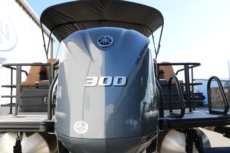 Slide: The Image of Sylvan L3 LZ DH Platinum Edition Tri-Toon 2026 - 9