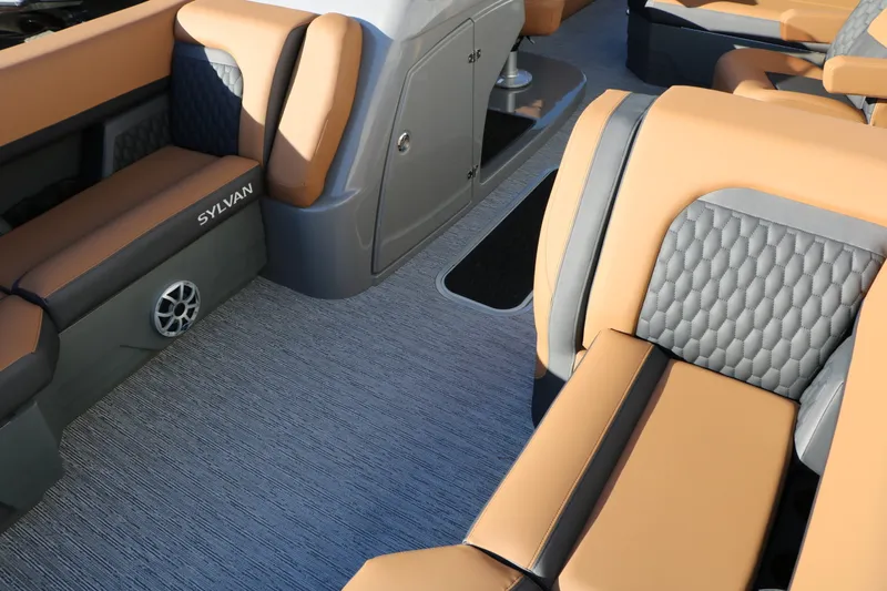 Slide: The Image of Sylvan L3 DLZ Platinum Edition Tri-Toon 2026 - 25