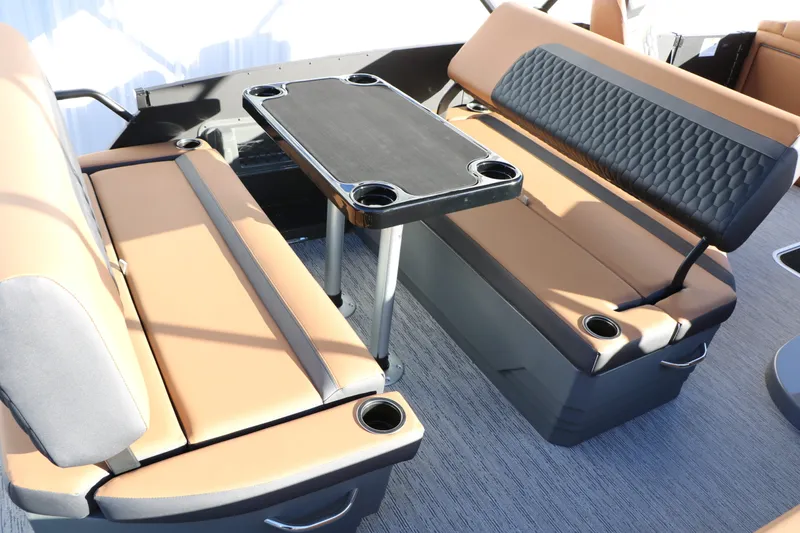 Slide: The Image of Sylvan L3 DLZ Platinum Edition Tri-Toon 2026 - 30