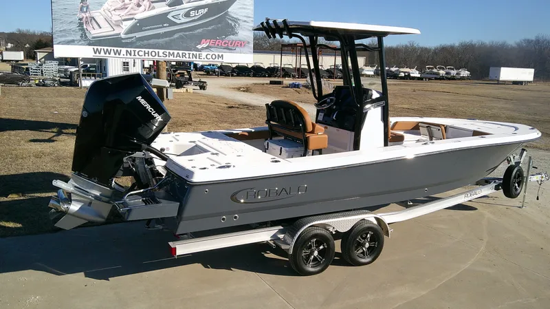 Slide: The Image of Robalo 246 Cayman 2026 - 3