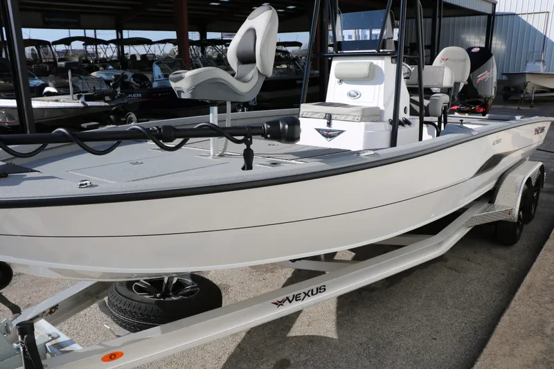 Slide: The Image of Vexus ACX 2210 2025 - 9