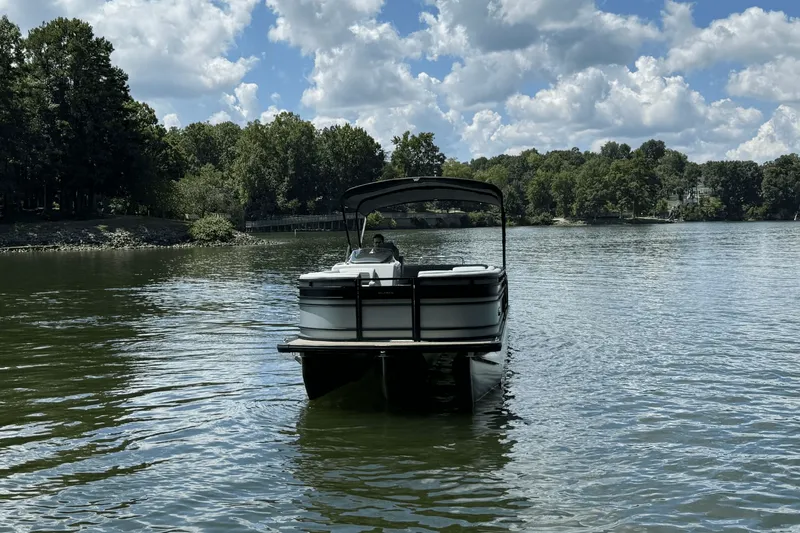 Slide: The Image of Harris Solstice 250 2024 - 2