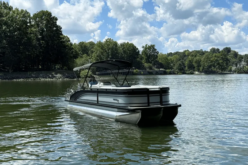 Slide: The Image of Harris Solstice 250 2024 - 3