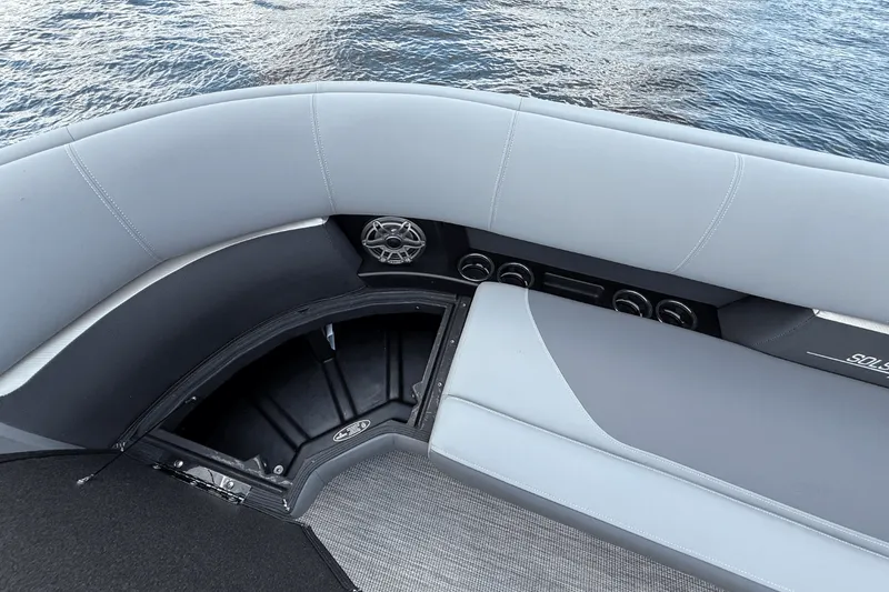 Slide: The Image of Harris Solstice 250 2024 - 31