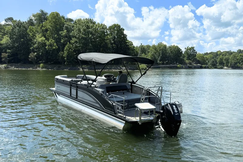 Slide: The Image of Harris Solstice 250 2024 - 7