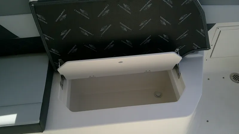 Slide: The Image of Chaparral SSX 30 2026 - 14