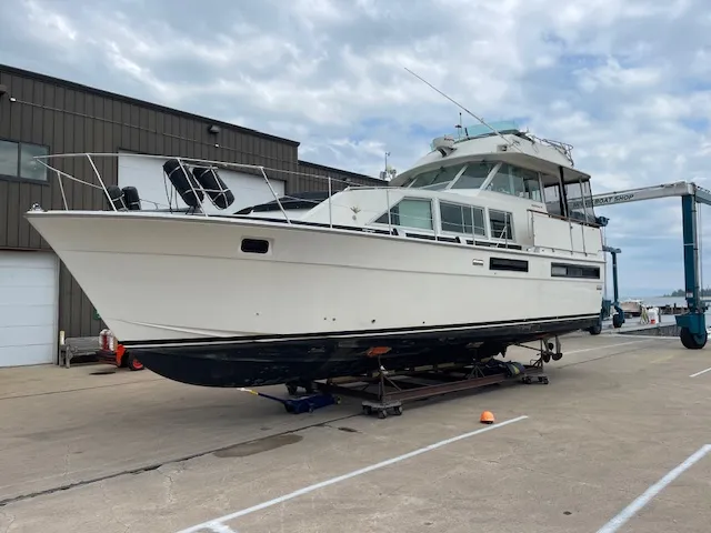 The Image of BERTRAM YACHTS 42 Motor Yacht 1977 - 0