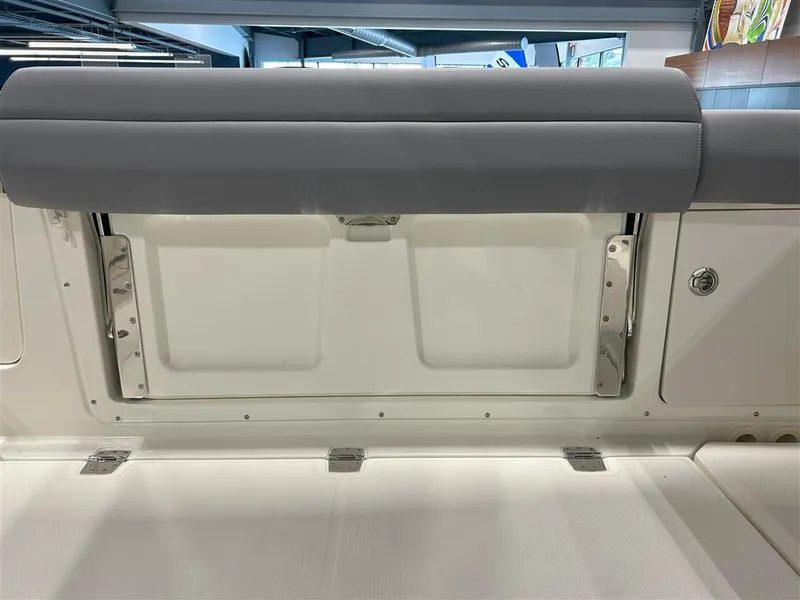 Slide: The Image of Boston Whaler Outrage 2025 - 36
