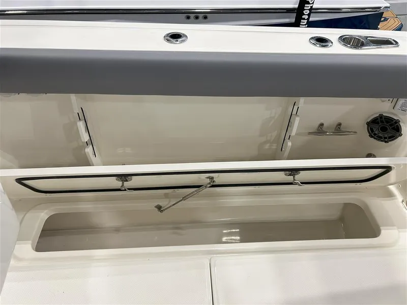 Slide: The Image of Boston Whaler Outrage 2025 - 31