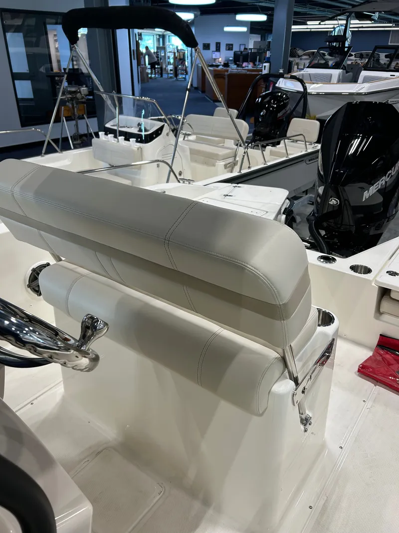 Slide: The Image of Boston Whaler Dauntless 2025 - 5