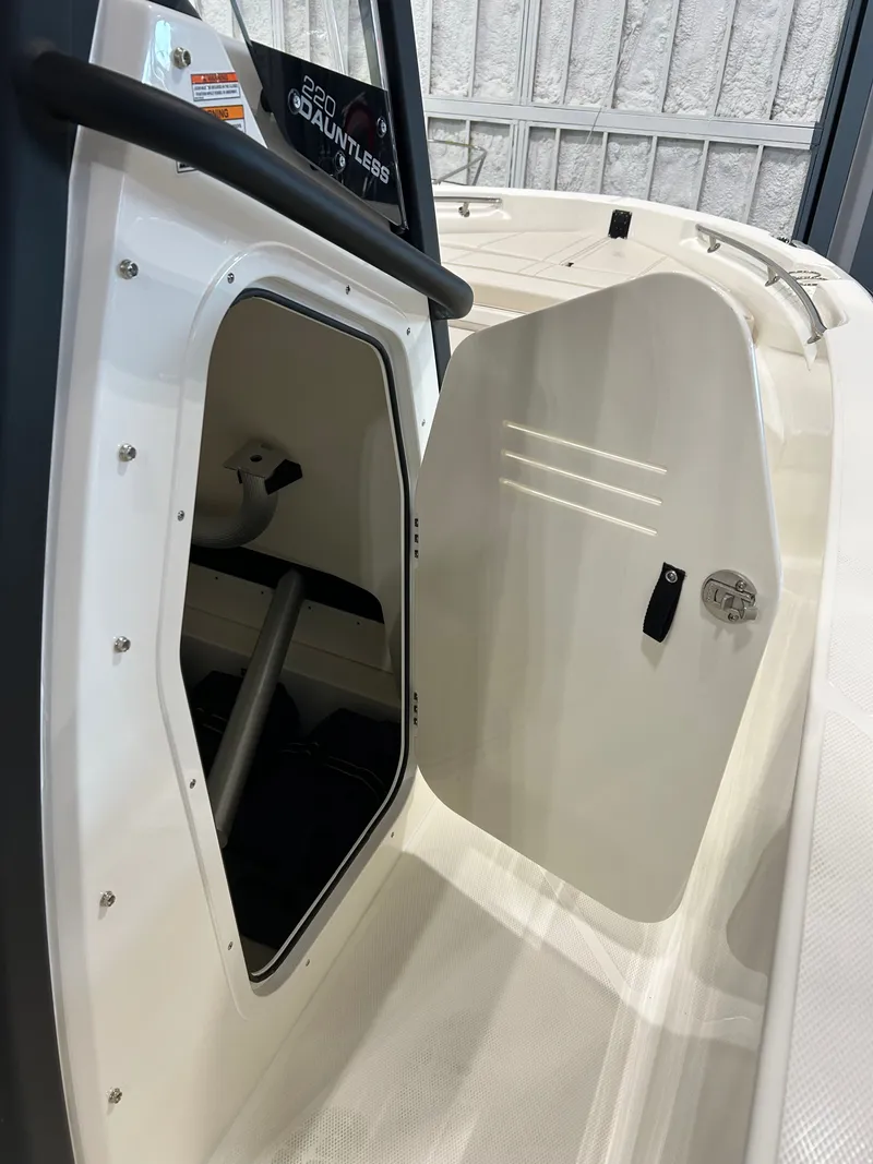 Slide: The Image of Boston Whaler Dauntless 2025 - 9