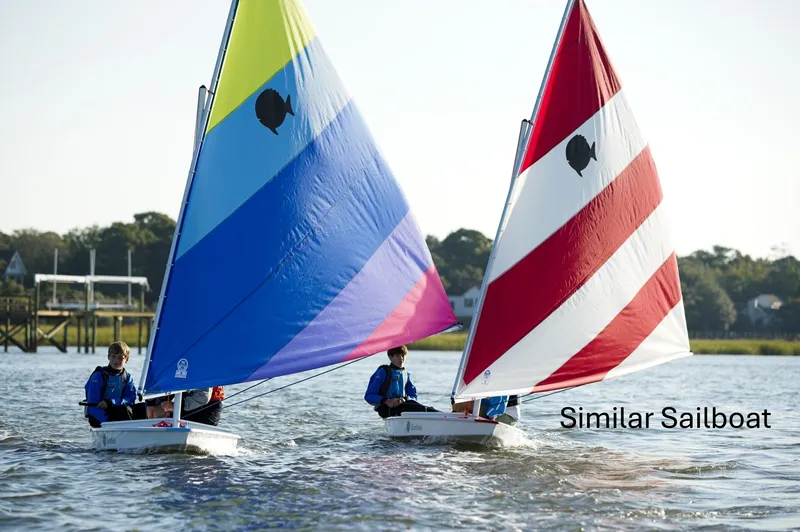 The Image of SERO INNOVATION LP SUNFISH 2025 - 0