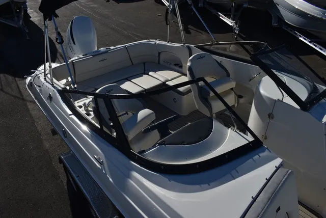 Slide: The Image of Stingray 231DC 2024 - 13