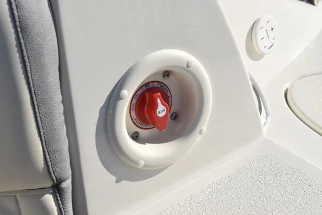 Slide: The Image of Stingray 231DC 2024 - 28