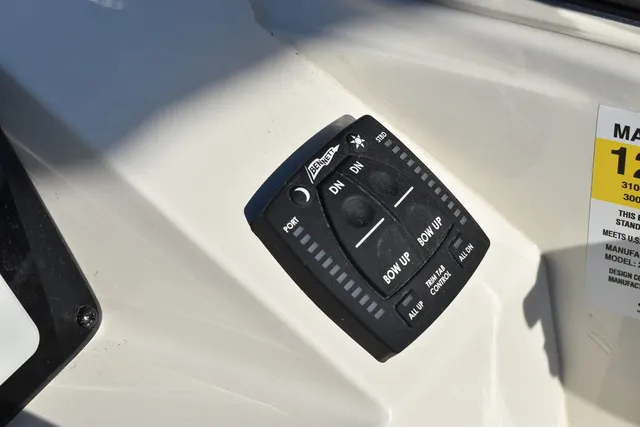 Slide: The Image of Stingray 231DC 2024 - 54