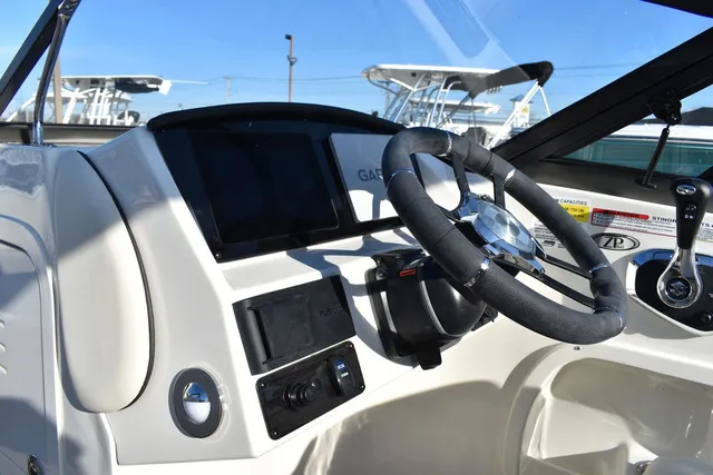 Slide: The Image of Stingray 231DC 2024 - 55