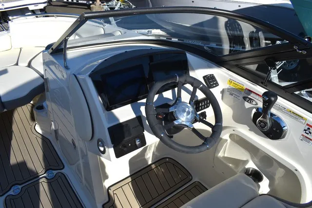 Slide: The Image of Stingray 231DC 2024 - 56
