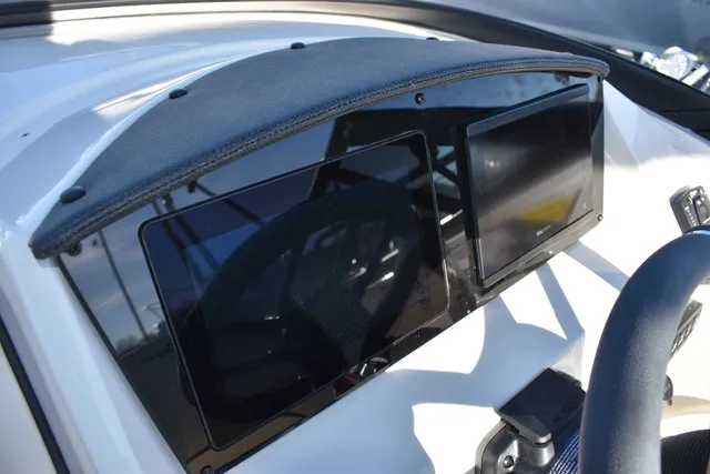 Slide: The Image of Stingray 231DC 2024 - 57