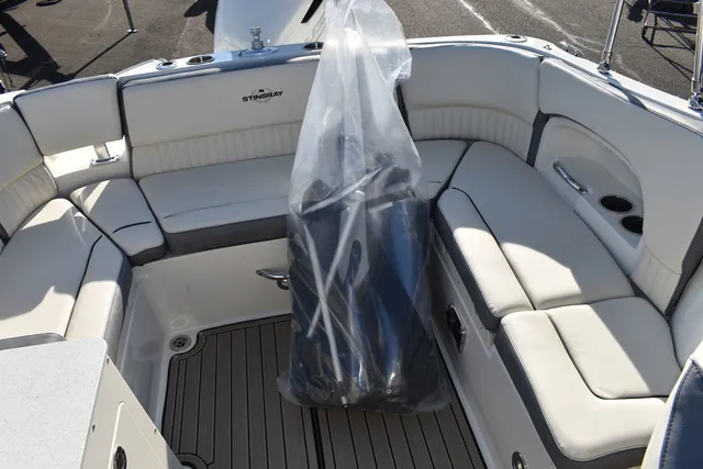 Slide: The Image of Stingray 231DC 2024 - 64