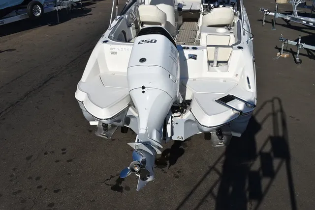 Slide: The Image of Stingray 231DC 2024 - 7