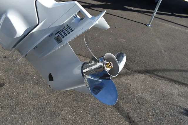 Slide: The Image of Stingray 231DC 2024 - 75