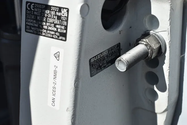 Slide: The Image of Stingray 231DC 2024 - 77