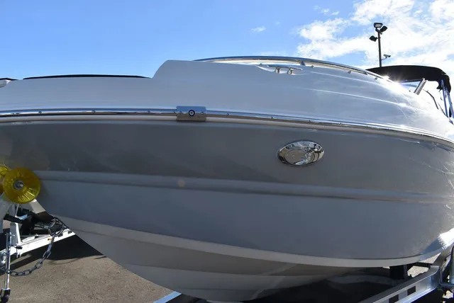 Slide: The Image of Stingray 231DC 2024 - 80