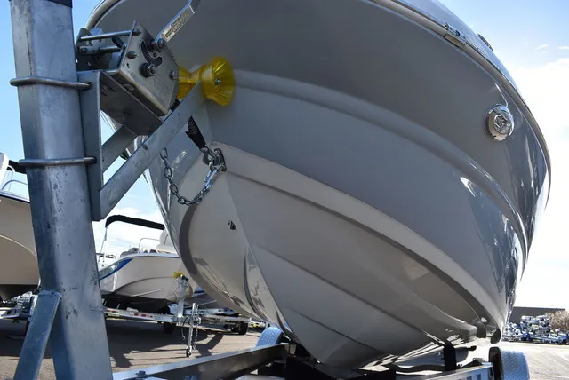 Slide: The Image of Stingray 231DC 2024 - 81
