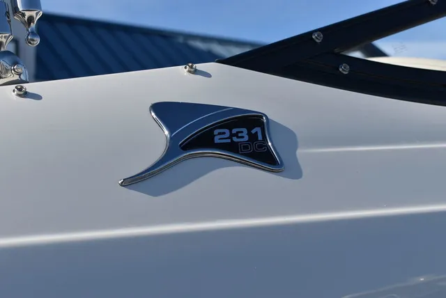 Slide: The Image of Stingray 231DC 2024 - 82