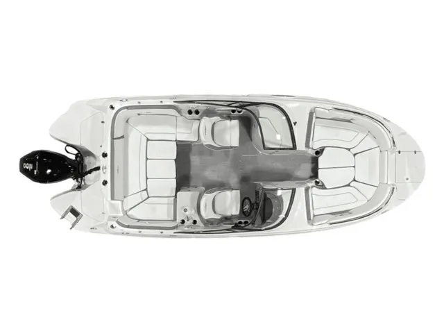 Slide: The Image of Stingray 231DC 2024 - 83