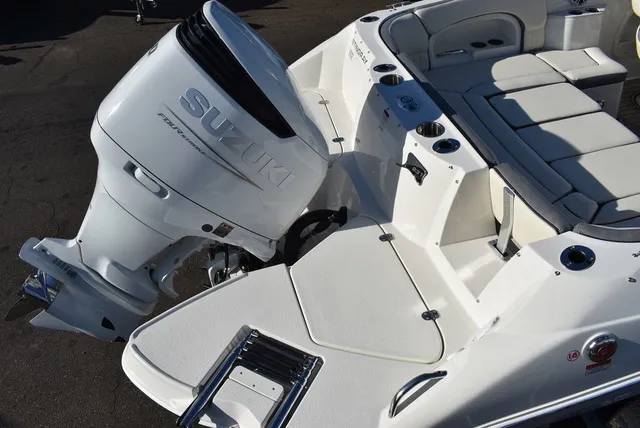 Slide: The Image of Stingray 231DC 2024 - 9