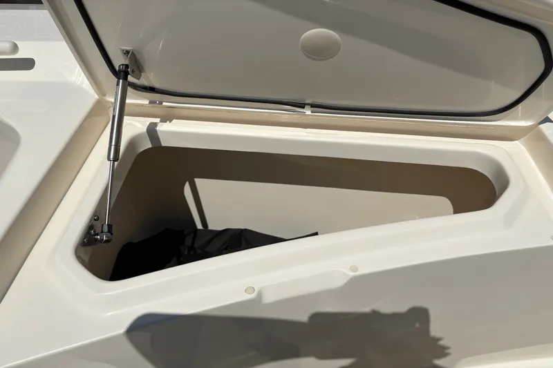 Slide: The Image of Scout 377 LXF 2024 - 20