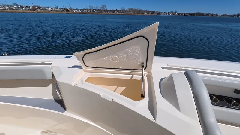 Slide: The Image of Scout 377 LXF 2024 - 39