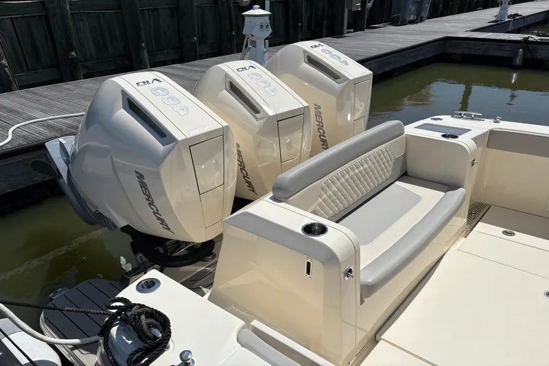 Slide: The Image of Scout 377 LXF 2024 - 4