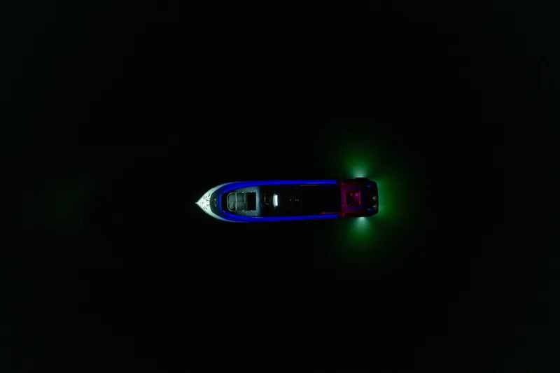 Slide: The Image of Arno Leopard 27 1998 - 64