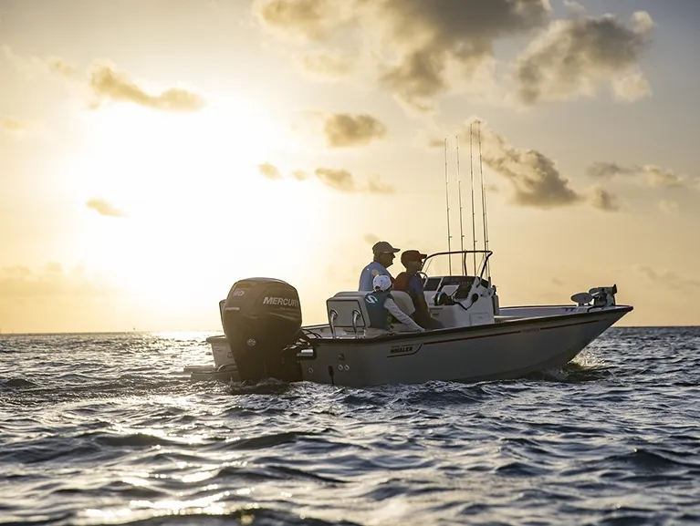 Slide: The Image of Boston Whaler 170MTK 2026 - 6