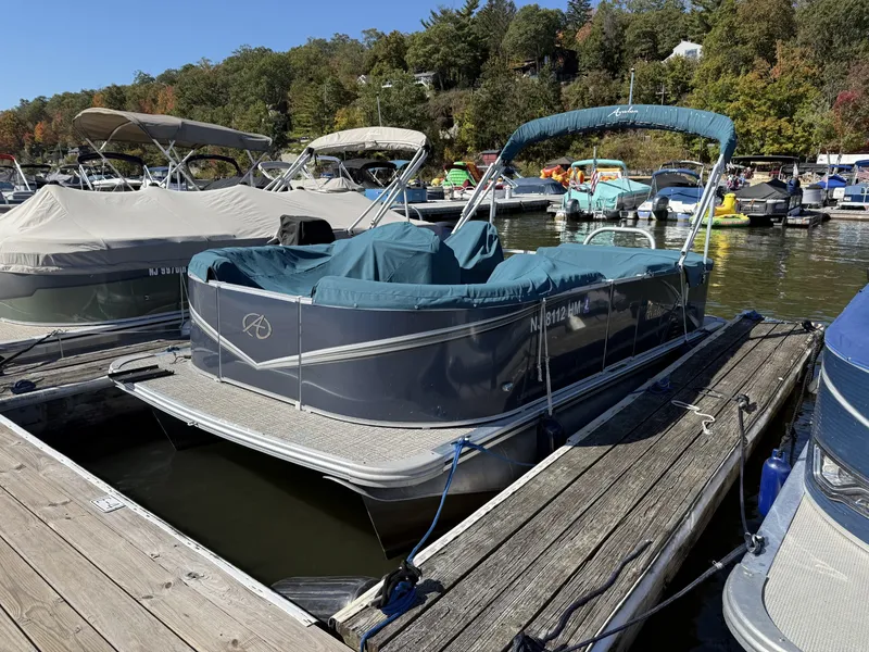 The Image of Avalon LSZ Cruise 20' 2021 - undefined