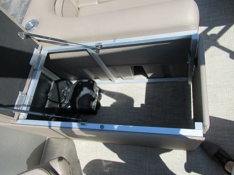 Slide: The Image of Bennington 22 SX 2020 - 10