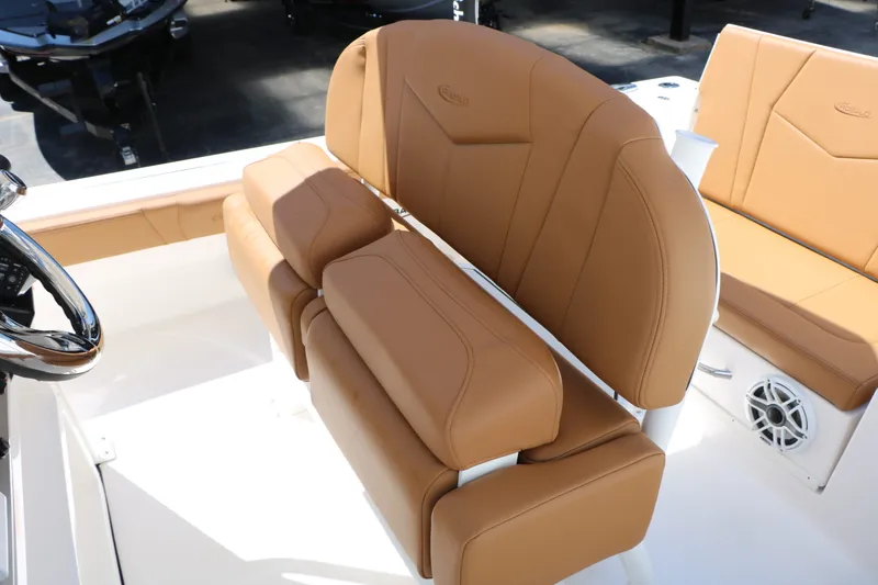 Slide: The Image of Robalo 246 Cayman 2026 - 31