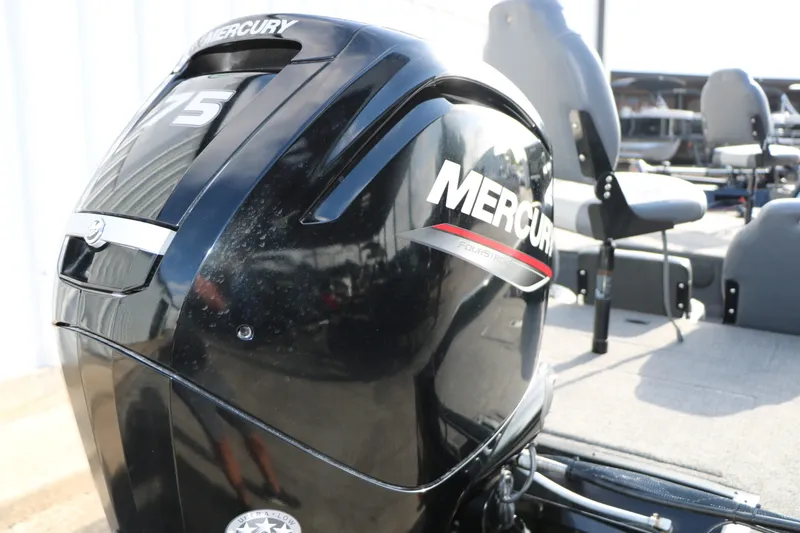 Slide: The Image of Lowe 175C Stinger 2020 - 10